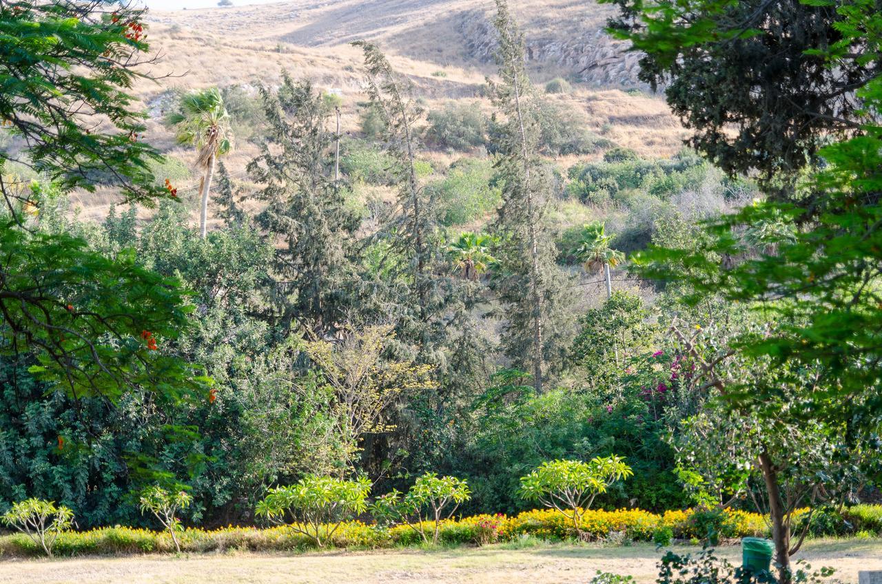 Villa Bait Alfa Kibbutz Country Lodging à Bet Alfa Chambre photo